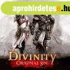 Divinity: Original Sin (Digitlis kulcs - PC)