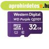 Western Digital - WDD032G1P0C