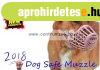 Kerbl Dog Safe Muzzle 2-Es Barna Knyelmes Szjkosr (81012)