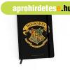 Harry Potter 038 jegyzetf�zet (WNBHARRY2201)