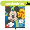 Aut� ablakra �rny�kol� rol� 1 db - Mickey