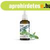 Stevia csepp 50ml