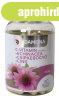 Damona c-vitamin 1000mg+echinacea+csipkebogy+cink bevont ta