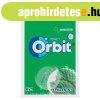ORBIT Spearmint Bag 21rdazs� 29g