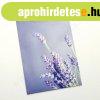 Fel�r�t�bla A4 - LEVENDULA