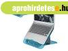 COR-LEITZ Ergo Cosy laptop �llv�ny, nyugodtk�k (E64260061)