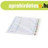 Elv�laszt�lap, A4, regiszteres 1-31 lamin�lt karton f�lek 10