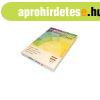M�sol�pap�r, digit�lis A3, 135g, m�zolt, matt Color Laser Co