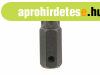 Genius torx (k�ls�) bit, T-100, 60mm