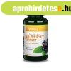 Vitaking Fekete-fonya 470mg 90 kapszula
