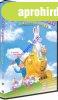 A h�sv�ti nyuszi a v�rosba megy DVD 