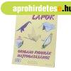 Origami pap�r A4, 20 lapos
