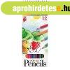 Sz�nes ceruza k�szlet, hatsz�glet� S�ni Ico 12 klf. sz�n