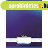 F�zet, A4, kock�s, 87-32, Monochrome �s Gradient mint�k II.,