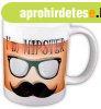 Vicces b�gre, I'm Hipster (Hipster vagyok)