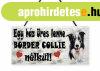 Kuty�s Fat�bla- Ez a h�z �res lenne Border Collie n�lk�l