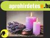 2 LEDes vil�g�t�+elf�jhat� falik�p levendula+gyertya 40x30cm