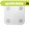 Xiaomi Body Composition Scale S400