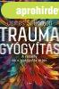 TRAUMAGYGYTS - A REMNY S A GYGYULS TJN