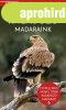 Ragadoz� madaraink - Term�szetbar�tok zsebk�nyve
