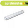 LED f�nycs�ves l�mpatest, T8, 2*120 cm, egy oldalas, IP65