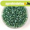 Miyuki k�sagy�ngy - 4241 - Duracoat Silver Lined Dark Mint -