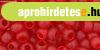 Toho k�sagy�ngy - 5bf - Transparent-Frosted Siam Ruby - 8/0