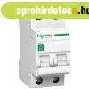 Schneider R9F14225 RESI9 2P C 25A kismegszakt