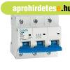 KISMEGSZAK�T� C100M 3P 100A CURVE D