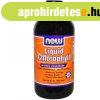 Now liquid chlorophyll borsmenta �z� 473 ml