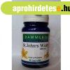 Dammers st.johns wort orb�ncf� kapszula 40 db