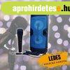 Ledes karaoke hangfal YD-808