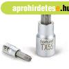 FORTUM bitdugfej, torx, 1/2&#039;, 61CrV5/S2, mattkrm;