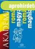 ROM�N-MAGYAR KISSZ�T�R