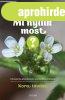MI NY�LIK MOST? - KORA TAVASZ