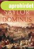 Steven Saylor - Dominus