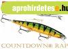 Rapala CD11 Count Down 11cm 16g wobbler - P - Pike
