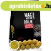 HALDORD MAX MOTION Boilie Long Life 20 mm 800g - des Anan