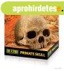Exo-Terra Dekor Primate Skull - samu koponya (Pt2855)