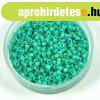 Miyuki delica gy�ngy 0729 - Opaque Turquoise Green ? 11/0