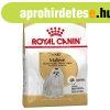 Royal Canin Maltese Adult 1,5 kg