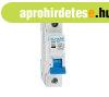 KISMEGSZAK�T� C101L/6A 1P CURVE C
