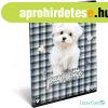Lizzy Card kuty�s t�z�tt f�zet A/4, 32 lap kock�s, Pawsome, 