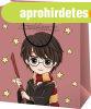 Harry Potter aj�nd�kt�ska 23x18x10cm, k�zepes, Harry Potter