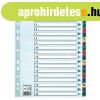 Regiszter, karton, A4, 1-20, ESSELTE "Mylar"