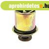Termoszt�t Case IH 84427136, 87698668, J940632