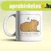 Keep calm like Capybara feh�r b�gre