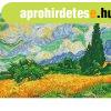 Diamond Dotz gy�m�ntfest� k�p, Van Gogh: B�zamez� ciprusokka