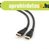 Gembird DisplayPort 1.2 - DisplayPort 1.2 M/M 4K cable 10m B