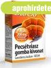 Bioco pecstviasz gomba kivonat tabletta 60 db